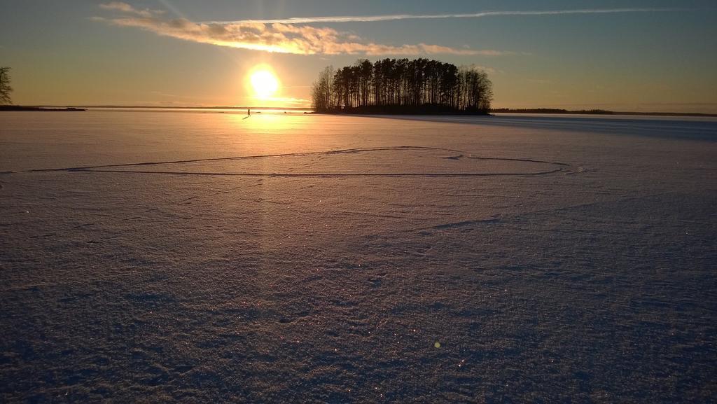 Koivuniemi Cottage Säkylä Eksteriør bilde