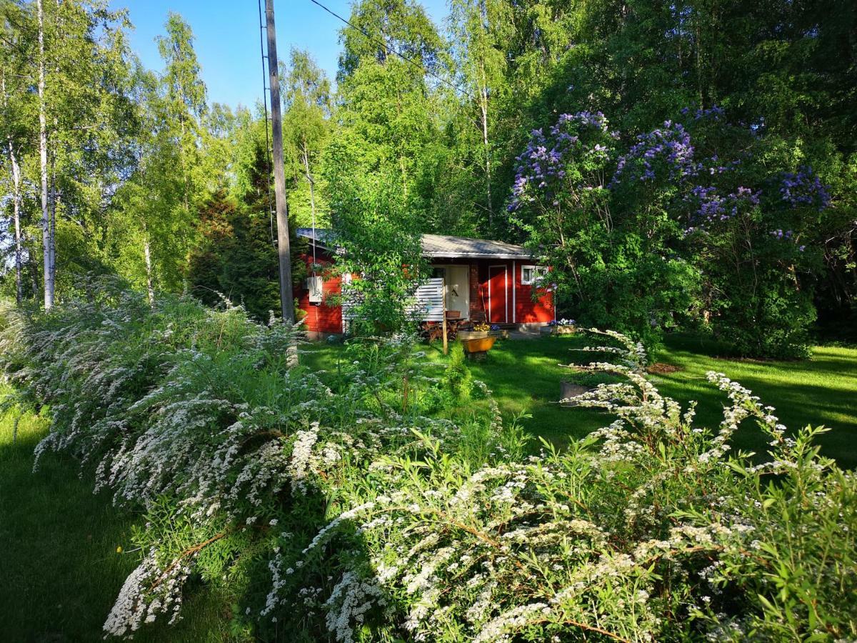 Koivuniemi Cottage Säkylä Eksteriør bilde