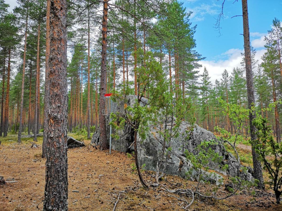 Koivuniemi Cottage Säkylä Eksteriør bilde