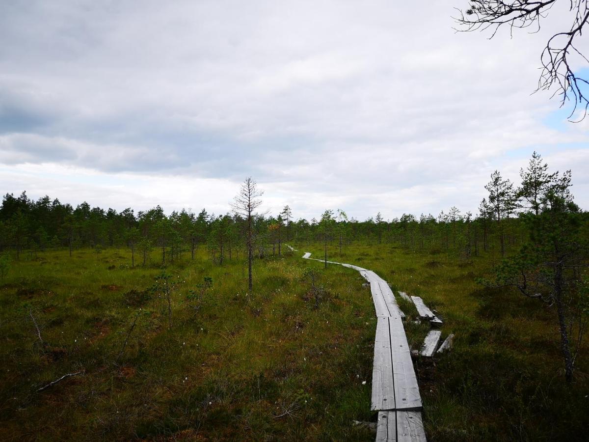 Koivuniemi Cottage Säkylä Eksteriør bilde